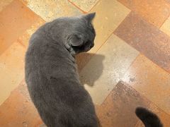 -Me Coffee下午茶艺术空间