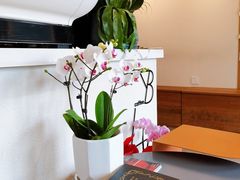 -LAB COFFEE来杯咖啡(浦仓路店)