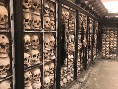 -比如骷髅墙景区