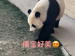 -石家庄市动物园