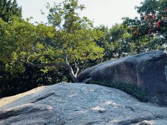 -灵岩山风景区