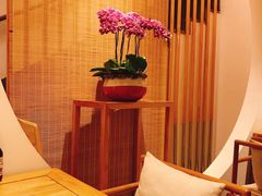 -枣子树·素食餐厅(普陀山店)