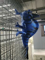 -斑斓色彩沙龙