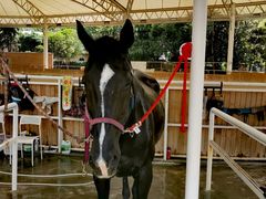 -金庭庄园酒店-停车场