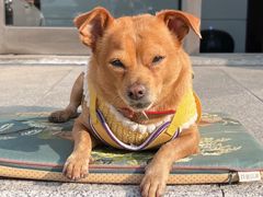 -安福路