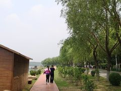 -丁香湖公园