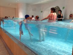 -涨巢·潮玩水疗局