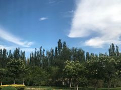-阿叶羊杂碎(前进街店)