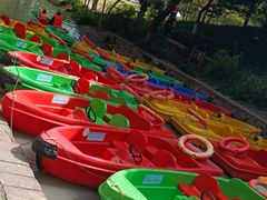 -上海醉白池公园