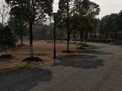 -苏州太湖国家湿地公园