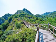 -大岭沟猕猴桃谷风景区
