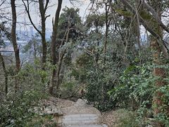-岳麓山风景名胜区