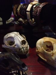 iphone_upload_pic-周忆刺青原创设计定制