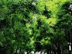 -河北省园博园