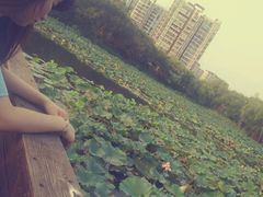 -新江湾城公园