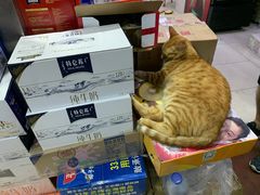 -玉华饮食店(茅台路店)