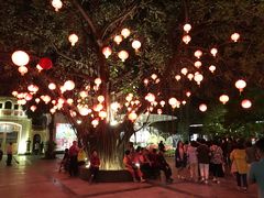 -河内西湖莲花自助餐厅