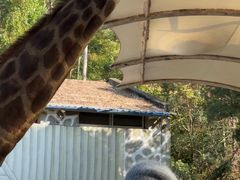 -泉州海丝野生动物世界