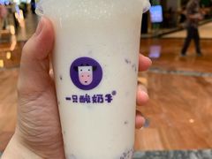 -一只酸奶牛(八一路店)