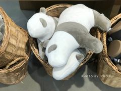 -MUJI无印良品(金狮广场店)