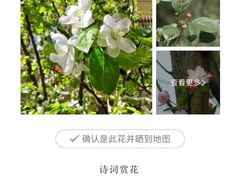 -徐家汇源景区-衡山公园