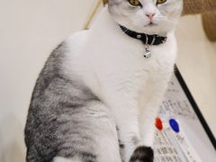-共舞时光猫咖·狗咖(新街口店)