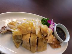 天然白斩鸡-碧丽宫大酒店(召稼楼店)