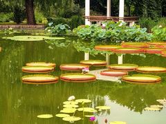 -国家植物园南园