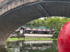 -桂湖森林公园