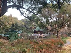 -申粤轩酒楼·三十年粤菜经典(丁香花园店)