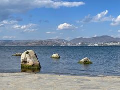 -洱海月湿地公园