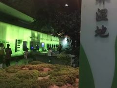 -中国湿地博物馆