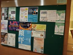 -香港大学