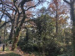 -普陀山风景名胜区-法雨禅寺