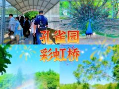 -丹樱生态园