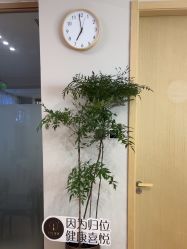 点击看大图 -归位瑜伽&普拉提馆