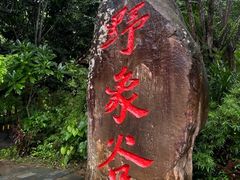-野象谷景区