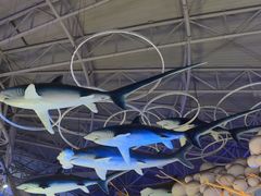 -烟台海昌鲸鲨海洋公园