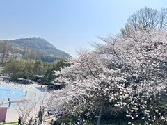 -杭州少年儿童公园