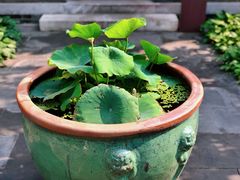 -李叔同故居纪念馆