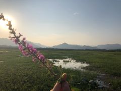 -十三陵水库