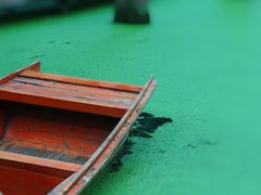 -渌洋湖湿地公园