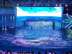 -海合安青岛极地海洋公园