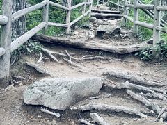 -王顺山国家森林公园