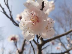 -灞河西岸滨河公园