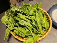 -巴奴毛肚火锅(安阳万达店)