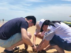 -日照海滨国家森林公园