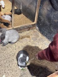 -酷嗒动物文化乐园(cutezoo西溪乐天城店)