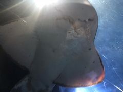 -暹罗海洋世界