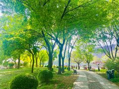 -泰丰公园